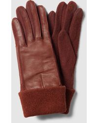 Esprit Touchscreen-Handschuhe mit Lederbesatz Modell 'Sport Nappa Glove' - Braun