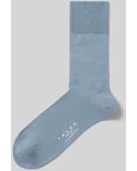 FALKE - Sokken - Lyst