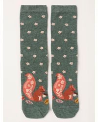FatFace - Fatface Squirrel Socks - Lyst