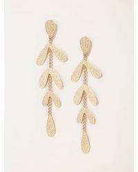 FatFace - Fatface Tone Leaf Drop Earrings - Lyst