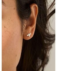 FatFace - Bee Stud Earrings - Lyst