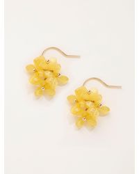 FatFace - Fatface Flower Cluster Earrings - Lyst