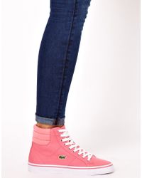 lacoste high tops