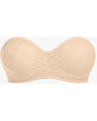 Wacoal - Halo Lace Strapless Bra - Lyst