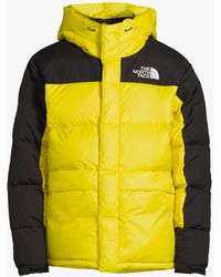 The North Face El Norte Parka in Green 