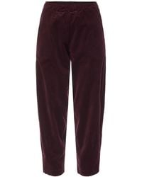 Mama B. - Cervo Trouser - Lyst