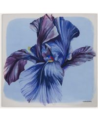 Ferragamo - Pañuelo De Seda Estampado Iris - Lyst