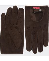Ferrari - Suede Leather Driving Gloves - Lyst