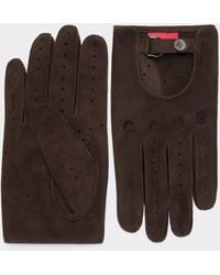 Ferrari - Suede Leather Driving Gloves - Lyst