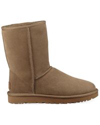BOTTES ugg Classic Mi-mollet Orange BOTTES ugg Classic Mi-mollet Orange