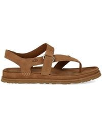 UGG - Goldengaze Toe Post Chestnut Sandal - Lyst