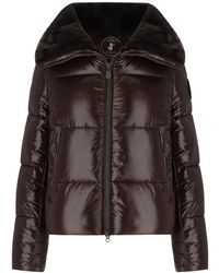 Save The Duck - Moma Cropped Padded Jacket - Lyst