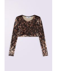 Fiorucci - Banimalier Velour Crop Top - Lyst