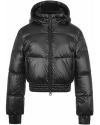 ARCTIC ARMY - Yukon Cropped Hooded Funnel Neck Short Puffer Jacket - Lyst