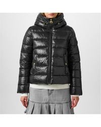 Barbour - Hailey Quilted Short Puffer Jacket - Lyst