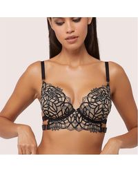 Wolf & Whistle - Aisha Optical Embroidery Bra - Lyst