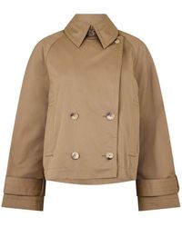 JOSEPH - Zago Ct Ld61 - Lyst
