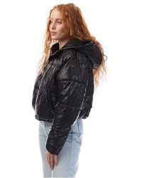 DKNY - Crosswalk-Print Cropped Hooded Jacket - Lyst