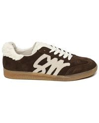 Steve Madden - Elora Low-Top Trainers - Lyst