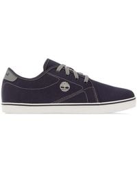 Timberland - Skape Park Basic Low Lace Trainers - Lyst