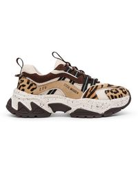 Steve Madden - Animates-Le Trainers - Lyst