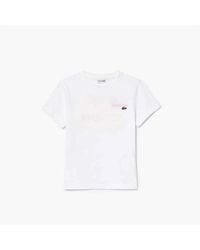 Lacoste - Graphic Tee Jn42 - Lyst