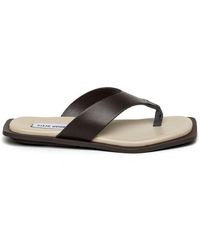 Steve Madden - Splash B Flip Flops - Lyst
