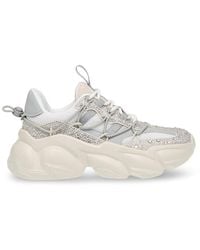 Steve Madden - Spectator Low-Top Trainers - Lyst