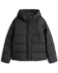 Tommy Hilfiger - Down Short Puffer Jacket - Lyst