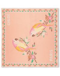 Chloé - Parrot Silk Scarf - Lyst
