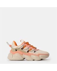 Steve Madden - Spectator Low-Top Trainers - Lyst