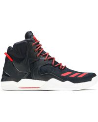 d rose 7 xmas