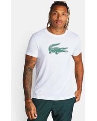 Lacoste - Big Croc Logo T-Shirts - Lyst