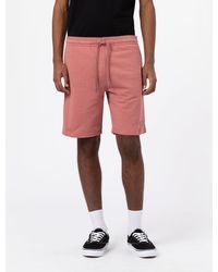 Dickies Shorts for Men | Online Sale up 