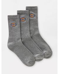 Dickies Valley Grove Socks (3 Pairs) - Grey