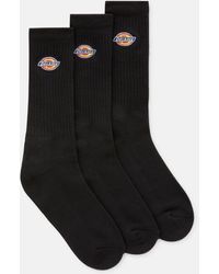 Dickies Valley Grove Socks (3 Pairs) - Black