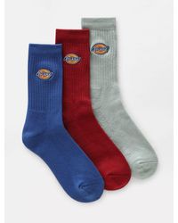 Dickies Valley Grove Socks (3 Pairs) - Red