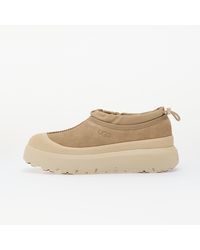 UGG - Sneakers M Tasman Weather Hybrid Mustard Seed/ Cream Eur - Lyst