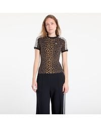 adidas Originals - T-shirt adidas cali tee xs - Lyst