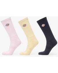 Dickies - Sokken Valley Grove Sock - Lyst