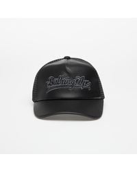 A Bathing Ape - Baseball Logo Mesh Cap - Lyst