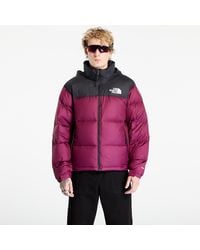 The North Face - Jas M 1996 Retro Nuptse Jacket Purple/ Tnf Black S - Lyst