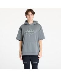 Under Armour - Sweatshirt Project Rock Heavyweight Short Sleeve Hooded Tools T-Shirt Clay/ Clay - Lyst