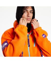 the north face tae fleece jacket