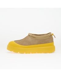 UGG - Sneakers M Tasman Weather Hybrid Mustard Seed/ Summer Wheat - Lyst