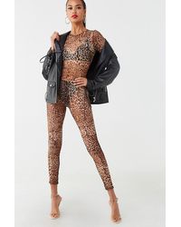 Forever 21 Sheer Mesh Leopard Jumpsuit , Brown/black