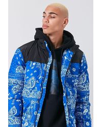 Synthetic Nylon Hooded Puffer Jacket 