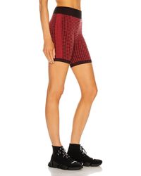 nagnata orange shorts