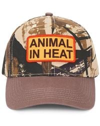 Pleasures - Heat Snapback Hat - Lyst