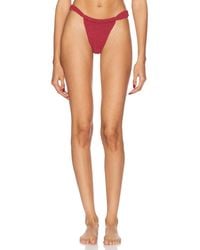 Bondeye - Georgia Brief Bikini Bottom - Lyst